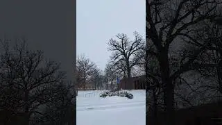 This Might be Our Last Snow Day of the Year!