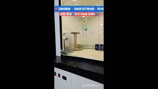 강아지분양💙고양이분양🔸️ 퍼피캣 대구경산점🔸️#강아지 #강아지분양 #대구강아지분양 #고양이 #고양이분양 #대구고양이분양 #애견분양 #대구애견분양 #라이브 #Live