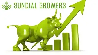 SNDL stock will skyrocket after earnings?