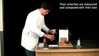 Steel Ball Dropped in a Viscous Fluid (A11) [2C30.51]