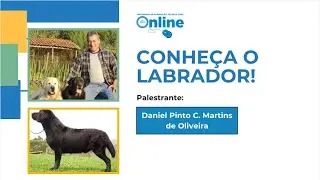 Conheça o Labrador