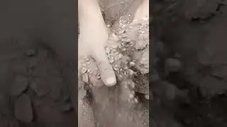 Concrete Dry Floor Crumble 🥳🥳 #sandcementasmr #satisfyingasmr #sandyclayasmr #popular #sleepaid