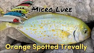 Wonder LURE ! Fish on every cast | Summer Trevally Fishing UAE