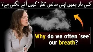 Why Can We See Our Breath In The Cold? |Hum Apne Sasu Ko Q Dekhte Hain Medical Question And Answer
