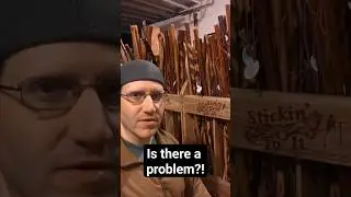 Walking stick problem?