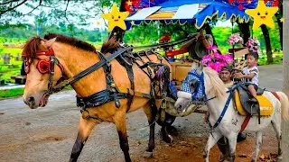 Naik kuda delman Istimewa | Full Lagu Anak-Anak Ceria & Edukatif untuk Si Kecil