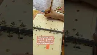 Como organizar um m&ecirc;s no Planner Anual Permanente!