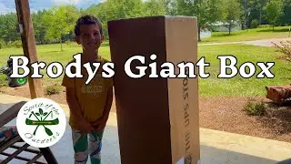 Brodys Giant Box