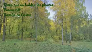 Dicen que no hablan las plantas (Poema 59) - Rosalía de Castro
