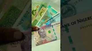 Currency variation from different country #viralvideo #currency #banknote #money #foreigncurrency