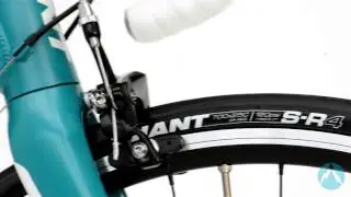 Giant Avail