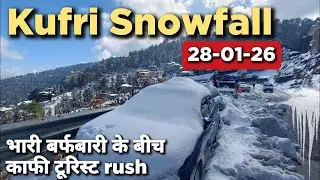 Live Snowfall Kufri Shimla | Shimla Latest Updates | Shimla Today's weather,Narknada 