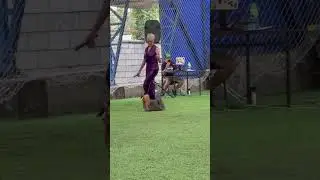 Best of show. 3 группа. International Dogs Show &laquo;Фаворит 2024&raquo;. Kazakstan.Almaty #dogshow #dogshorts
