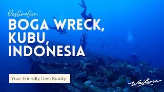 MYSTERIOUS BOGA WRECK, TULAMBEN, INDONESIA