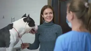 New Pet Owners Caution: Essential Tips You Need to Know!
