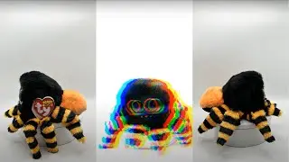 Beanie Boos - Charlotte