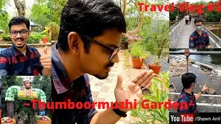 Thumboormuzhi Butterfly Park | Hanging Bridge | River Garden | Kerala Tourism | Travel Vlog #3