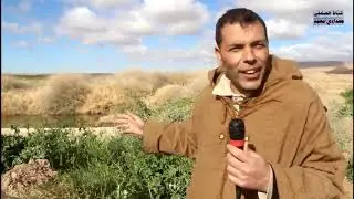 كارثة بيئية تهدد سكان قرية عين بن الميلود ببلدية محمد بوضياف بولاية المسيلة