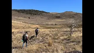 Searching for GOLD in the High Desert - Metal Detecting for Gold