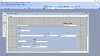Como Ordenar la Tabulación en Access