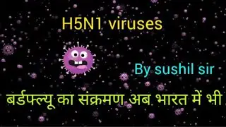Is H5N1 bird flu spread to humans?: बर्डफ्ल्यू जो इंसानों को भी नुकसान पहुंचा रहा हैं:#yt #facts:😲✨😲
