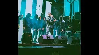BAD BUNNY sorprende a todos en el Medalla Light Yellow Halloween.