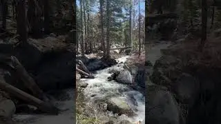Spring thaw in the mountains ⛰️ #trailrunning #mountainrunning #sierranevadas #hiking #trailrunning
