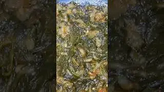Delicious Saag/spinach recipe posted~subscribe for more#subscribe#like#share#viralshorts#viralvideos