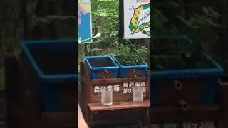 Will planting tree prevent soil erosion?