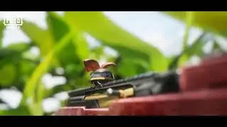 pubg mobile new upgrade awm skin