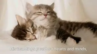 Guided by God&rsquo;s Word: The Power of Divine Instruction &ndash; Proverbs 6:22