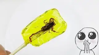 Леденец со скорпионом внутри от Hotlix ~ Вкусняшки ~