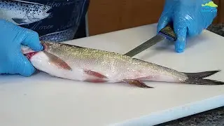 Toutaimen avaaminen selk&auml;puolelta