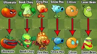 PvZ 2 Discovery - Difference Between All Plants Pvz 2 China VS PvZ 2 International (Part 1)