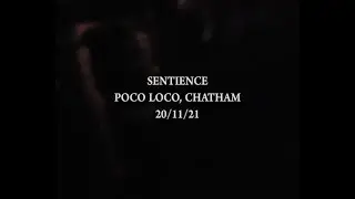 Sentience - November 20, 2021