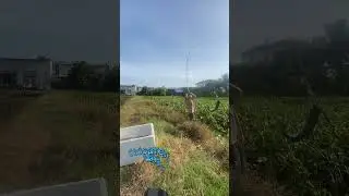 Em c&oacute; b&aacute;n chuy&ecirc;n về cốt c&acirc;u c&aacute; tra v&agrave; c&aacute;m anh em c&oacute; cần gh&eacute; vị tr&iacute; ủng hộ em  nhaaaa