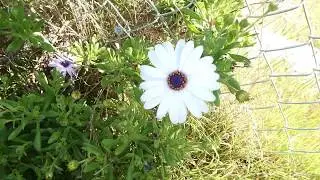 Environmental Art