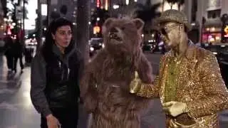 The Bear Asks LA, 