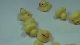 Ultra micro toy duck Radio control