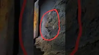 Real darshan of Kanakadurga devi Vijayawada Indrakeeladri