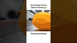 How Mango Juice Is Made in Factory 🥭| Factory Mein Aam Juice Kaise Banta Hai