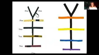 M5 RESTRAINT SYSTEMS