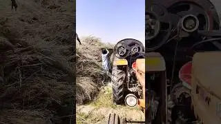 Mustard Processing Machine #shorts #mustard #mustardseeds #mastardcropprocessing