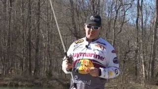 d267 The Trending Bass Pro Shops Speed Shad