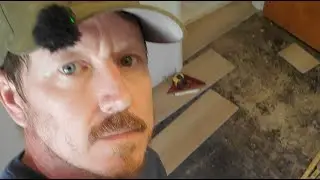 HandymanPOV is live! Watch me work.  LVP flooring install