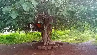 Beautiful palace Dundera Durg Bhilai Chhattisgarh. picnic spot Narsari.Bhisham sahani.