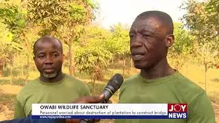 Owabi Wildlife Sanctuary: Personnel worried about destruction of plantation to construct bridge