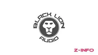 Black Lion Audio B173 MKII и B12a MKIII