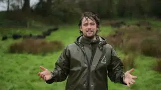 WE VISIT JULIUS ROBERTS DORSET SMALLHOLDING | Pipers Farm, Sustainable Farming