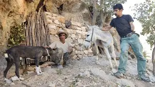 Building a camp, where love and cooperation between nature and humans come together, 🫠🐕🫏 